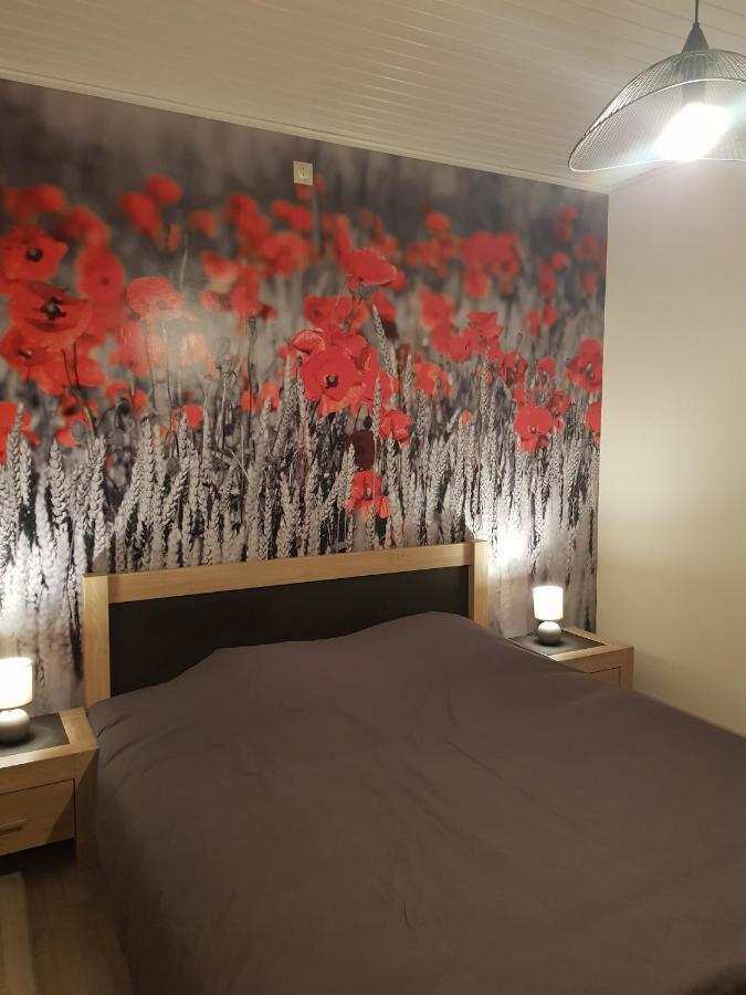Blandain Mary'S Poppies - Bed & Breakfast المظهر الخارجي الصورة