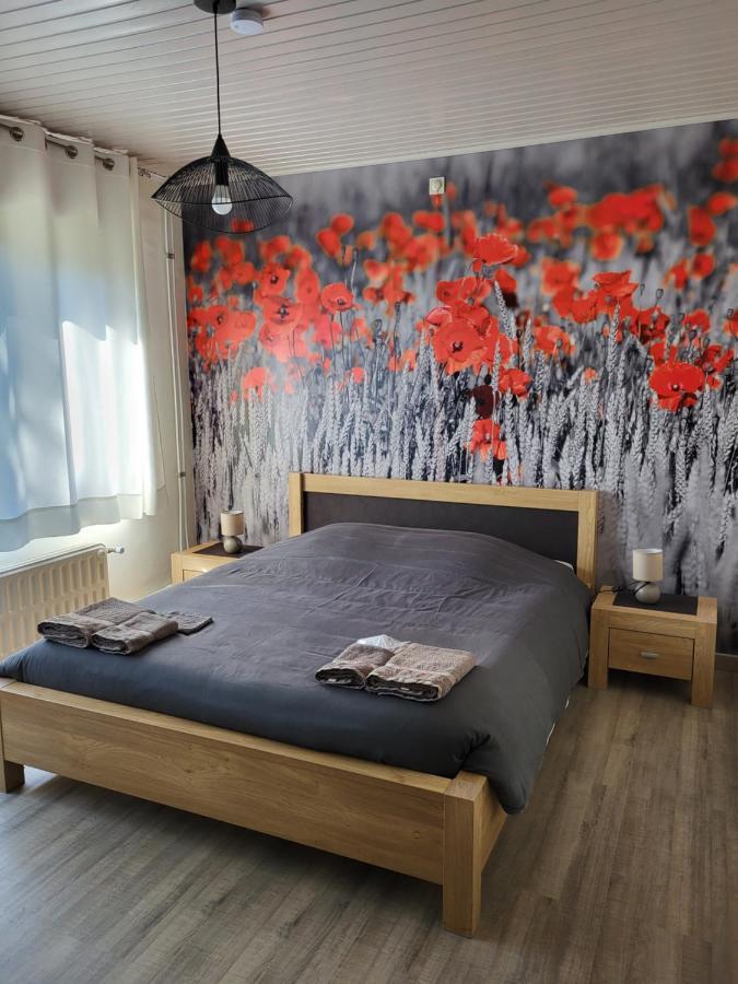 Blandain Mary'S Poppies - Bed & Breakfast المظهر الخارجي الصورة